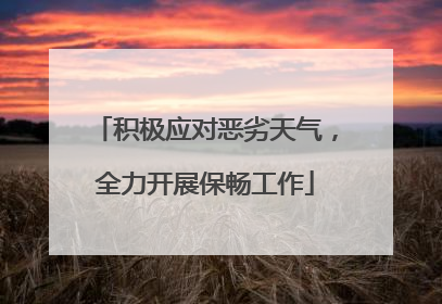 积极应对恶劣天气，全力开展保畅工作