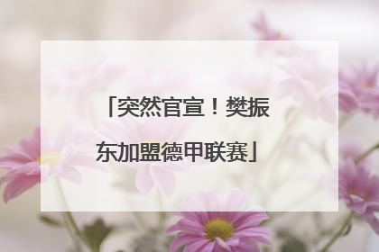 突然官宣！樊振东加盟德甲联赛