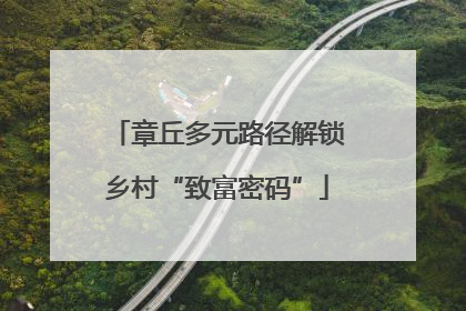 章丘多元路径解锁乡村“致富密码”