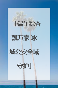 端午粽香飘万家 冰城公安全域守护