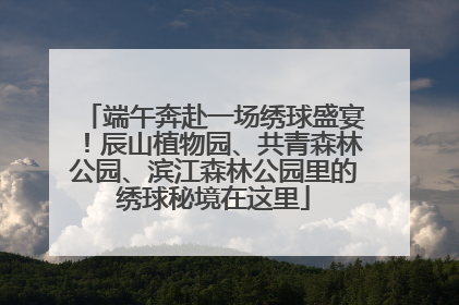 端午奔赴一场绣球盛宴！辰山植物园、共青森林公园、滨江森林公园里的绣球秘境在这里