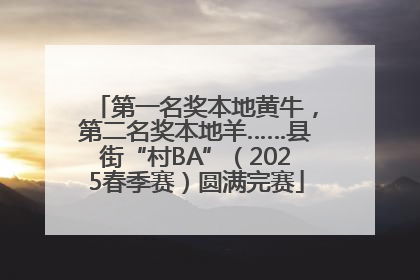 第一名奖本地黄牛，第二名奖本地羊……县街“村BA”（2025春季赛）圆满完赛