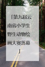 第九届云南省小学生野生动物绘画大赛落幕