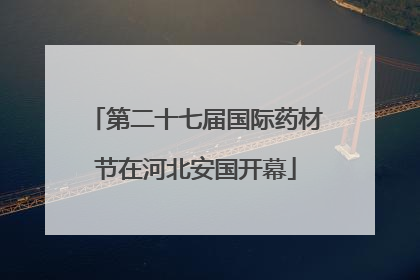 第二十七届国际药材节在河北安国开幕