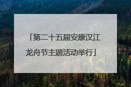 第二十五届安康汉江龙舟节主题活动举行
