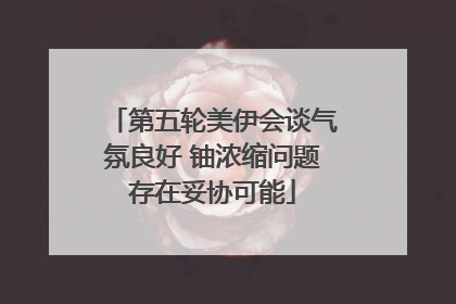 第五轮美伊会谈气氛良好 铀浓缩问题存在妥协可能