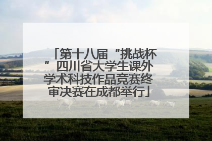 第十八届“挑战杯”四川省大学生课外学术科技作品竞赛终审决赛在成都举行