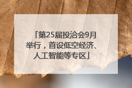 第25届投洽会9月举行，首设低空经济、人工智能等专区