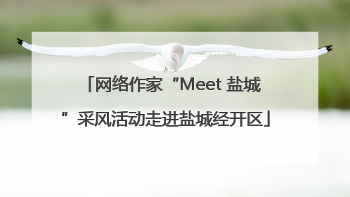网络作家“Meet 盐城”采风活动走进盐城经开区
