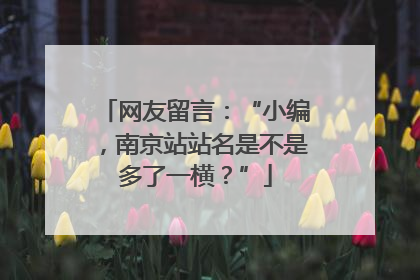 网友留言：“小编，南京站站名是不是多了一横？”
