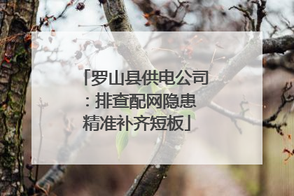 罗山县供电公司：排查配网隐患 精准补齐短板