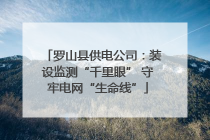 罗山县供电公司：装设监测“千里眼” 守牢电网“生命线”