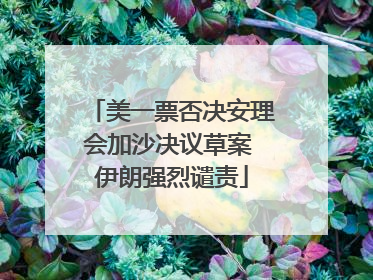 美一票否决安理会加沙决议草案 伊朗强烈谴责