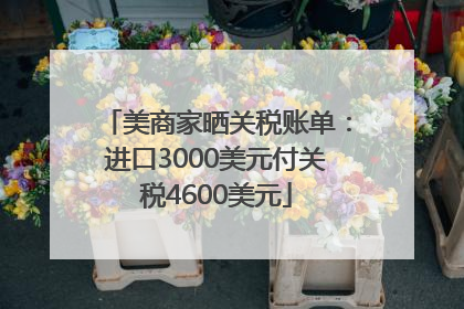 美商家晒关税账单：进口3000美元付关税4600美元