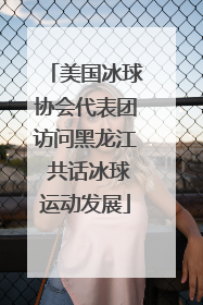 美国冰球协会代表团访问黑龙江 共话冰球运动发展