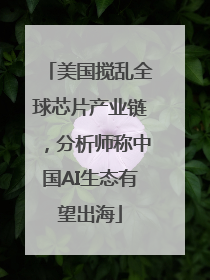 美国搅乱全球芯片产业链，分析师称中国AI生态有望出海