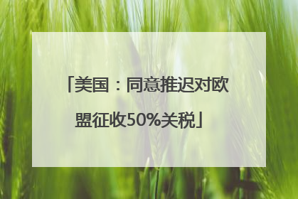 美国：同意推迟对欧盟征收50%关税