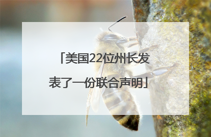 美国22位州长发表了一份联合声明