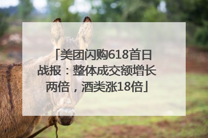 美团闪购618首日战报：整体成交额增长两倍，酒类涨18倍
