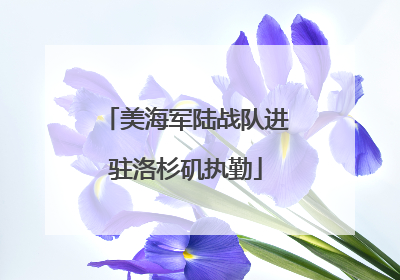 美海军陆战队进驻洛杉矶执勤