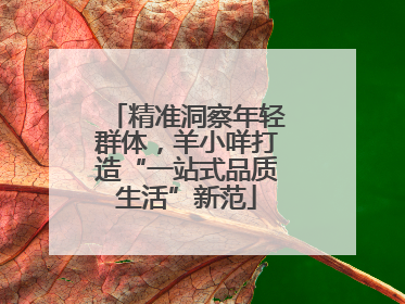 精准洞察年轻群体，羊小咩打造“一站式品质生活”新范