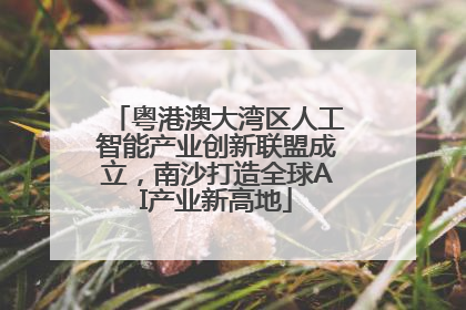 粤港澳大湾区人工智能产业创新联盟成立，南沙打造全球AI产业新高地