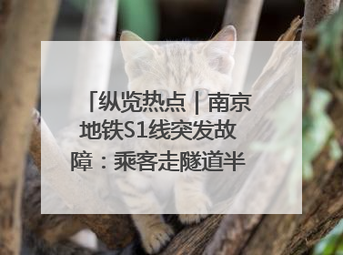 纵览热点｜南京地铁S1线突发故障：乘客走隧道半个多小时才出站，地铁方称造成误机会解决处理