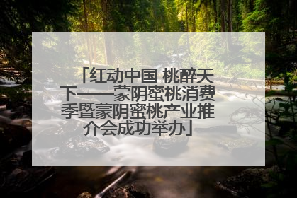 红动中国 桃醉天下——蒙阴蜜桃消费季暨蒙阴蜜桃产业推介会成功举办
