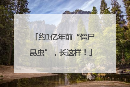 约1亿年前“僵尸昆虫”，长这样！
