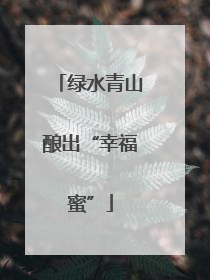 绿水青山酿出“幸福蜜”