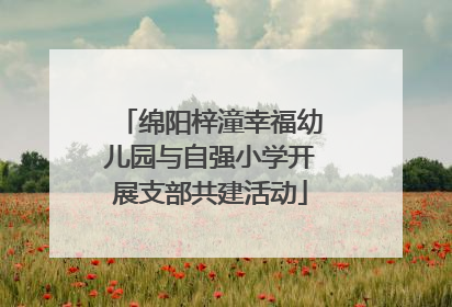 绵阳梓潼幸福幼儿园与自强小学开展支部共建活动