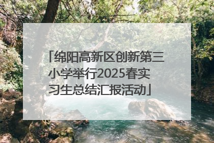 绵阳高新区创新第三小学举行2025春实习生总结汇报活动