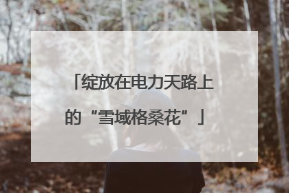绽放在电力天路上的“雪域格桑花”