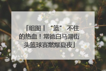 组图丨“篮” 不住的热血！常德白马湖街头篮球赛燃爆夏夜