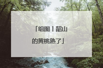 组图丨韶山的黄桃熟了