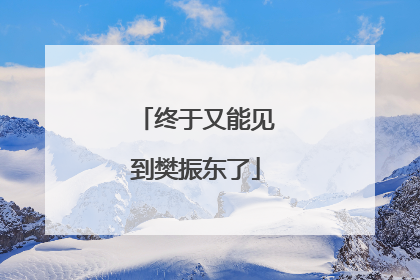 终于又能见到樊振东了