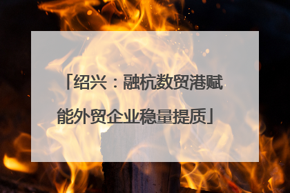 绍兴：融杭数贸港赋能外贸企业稳量提质
