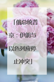 俄总统普京：伊朗与以色列应停止冲突