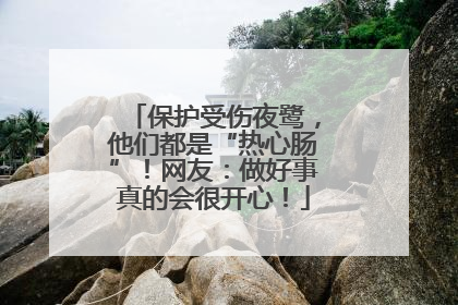 保护受伤夜鹭，他们都是“热心肠”！网友：做好事真的会很开心！