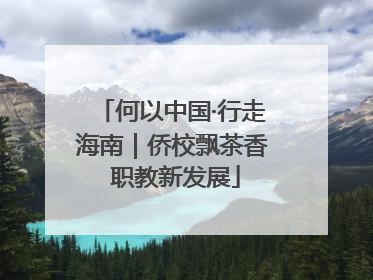 何以中国·行走海南｜侨校飘茶香 职教新发展