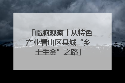 临朐观察丨从特色产业看山区县城“乡土生金”之路