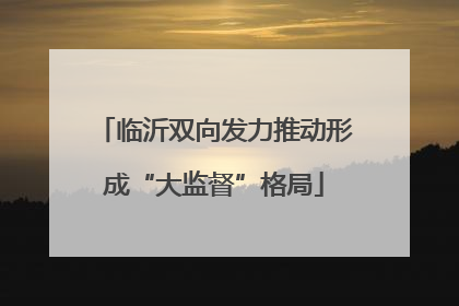 临沂双向发力推动形成“大监督”格局