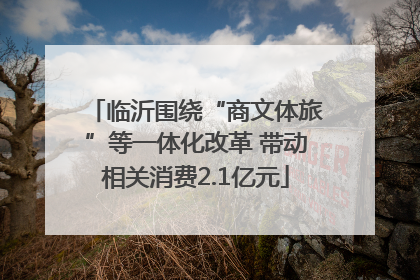 临沂围绕“商文体旅”等一体化改革 带动相关消费2.1亿元
