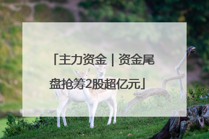 主力资金｜资金尾盘抢筹2股超亿元