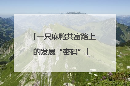 一只麻鸭共富路上的发展“密码”