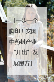 一步一个脚印！安图中药材产业“开出”发展良方