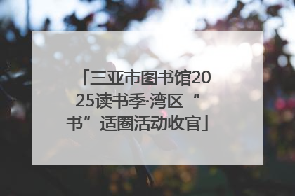 三亚市图书馆2025读书季·湾区“书”适圈活动收官