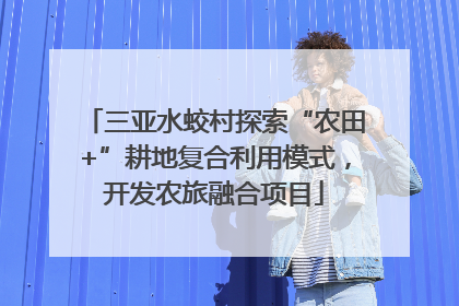 三亚水蛟村探索“农田+”耕地复合利用模式，开发农旅融合项目