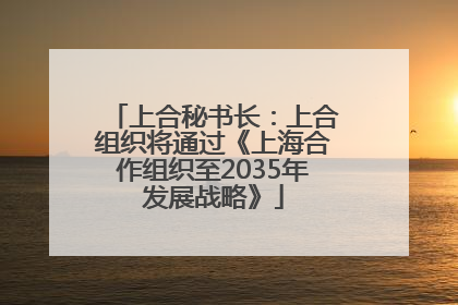 上合秘书长：上合组织将通过《上海合作组织至2035年发展战略》