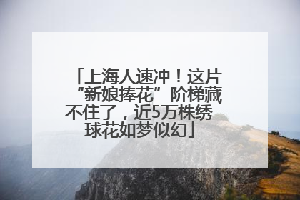 上海人速冲！这片“新娘捧花”阶梯藏不住了，近5万株绣球花如梦似幻